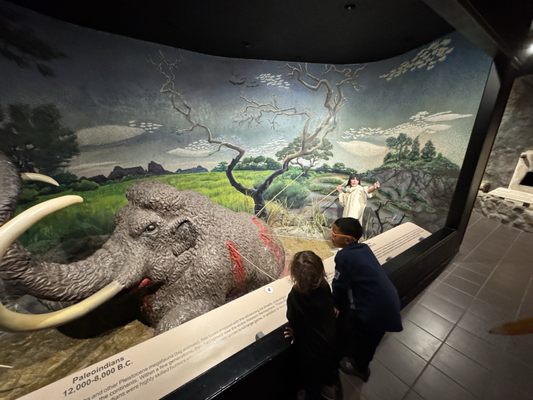 El Paso Museum of Archaeology by null