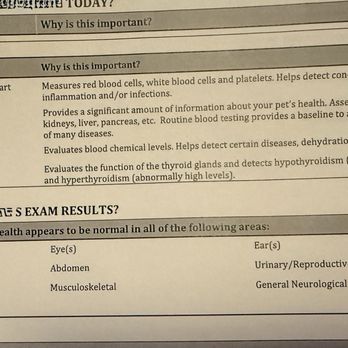 Banfield Pet Hospital - Coat/skin was most certainly not normal,  neither was her lungs she was wheezing,behavioral? Really she was lethargic. - Veterinarians Near Me - Colma, California