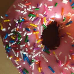 The Homer