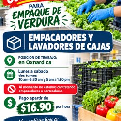 Employers Depot - Estamos contratando!