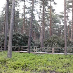 Alppiruusupuisto