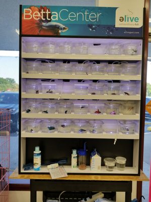 concord pet marsh road