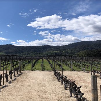 Robert Mondavi Winery - Wineries Near Me - Oakville, California