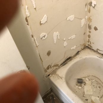 One Above Legacy - Handyman Near Me