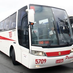 Guichê Pássaro Marrom
