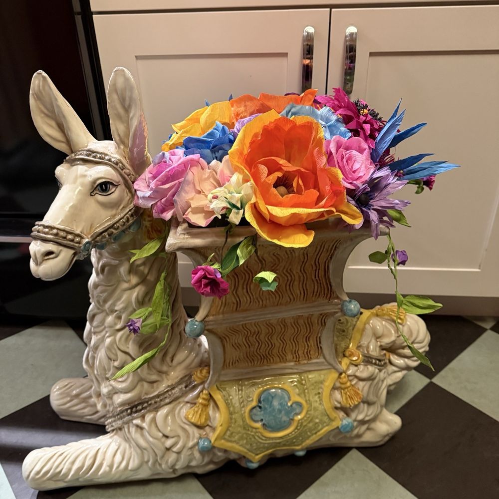 My beautiful llama in her new home