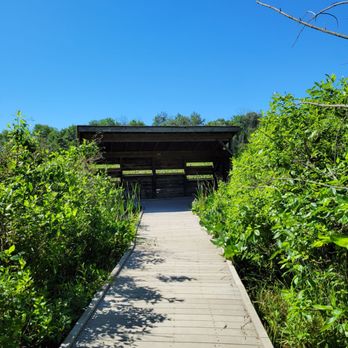Calamus Swamp - Blind - Parks Near Me - Chillicothe, Ohio Calamus Swamp - Blind - Parks Near Me - Chillicothe, Ohio