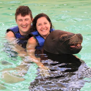 Coral World Ocean Park - His name is remo and he loves cuddles - Aquariums Near Me - St Thomas, Virgin Islands Coral World Ocean Park - His name is remo and he loves cuddles - Aquariums Near Me - St Thomas, Virgin Islands
