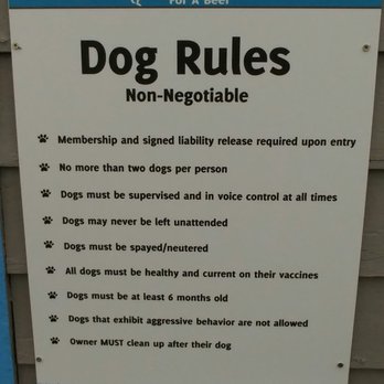 Paws For A Beer - The rules. - Beer Gardens Near Me - Bellingham, Washington Paws For A Beer - The rules. - Beer Gardens Near Me - Bellingham, Washington
