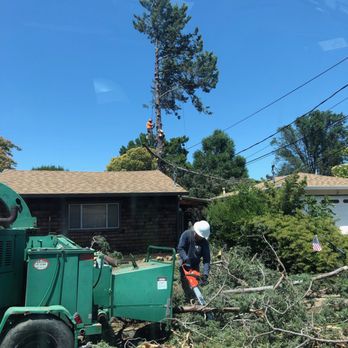 CBC Tree Services Inc - Tree Services Near Me CBC Tree Services Inc - Tree Services Near Me