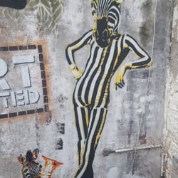 Coq d'Or - Zebra im Pyjama.