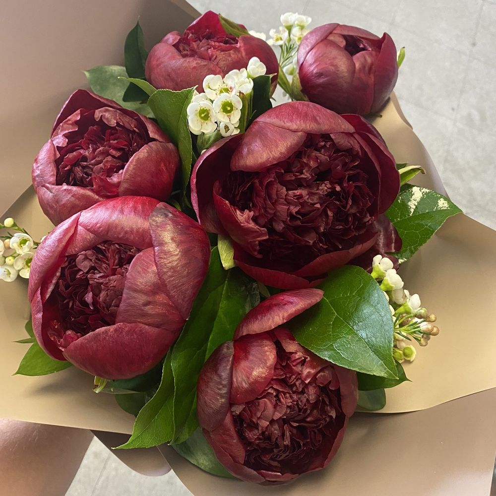 Peonies bouquet Peonies bouquet