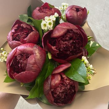 Tujunga Flowers & Gifts - Peonies bouquet - Florists Near Me - Tujunga, California Tujunga Flowers & Gifts - Peonies bouquet - Florists Near Me - Tujunga, California