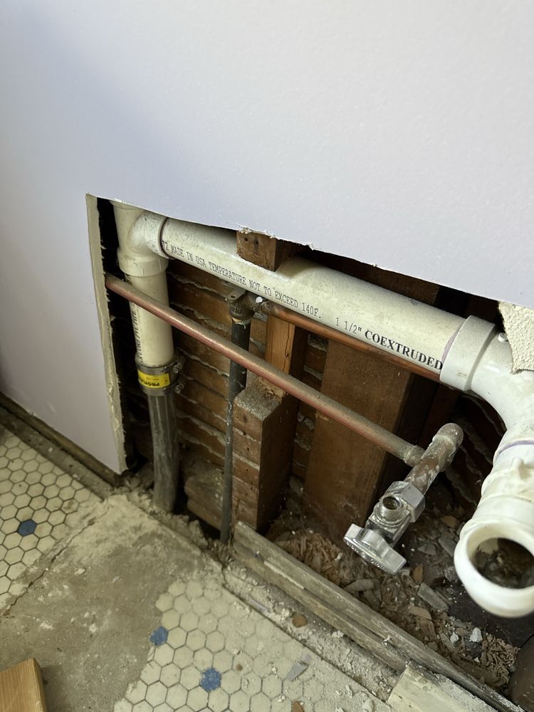 Slide of Ron the Sewer Rat