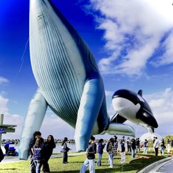 Advanced Gas Products - Whale of a good time in Dana point. March 2023.