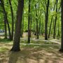 Photo of Lake Lansing Park North