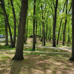 Lake Lansing Park North - This is the pavilion area at lake Lansing Park North.