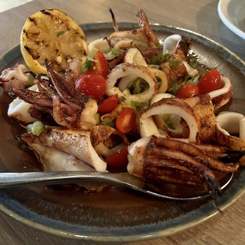 Plateia Mediterranean Kitchen Bar - GRILLED Calamari - Bars Near Me - Glenview, Illinois Plateia Mediterranean Kitchen Bar - GRILLED Calamari - Bars Near Me - Glenview, Illinois