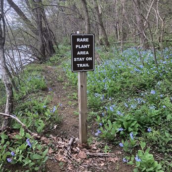 Riverbend Park - 04.13.2019. - Parks Near Me - Great Falls, Virginia