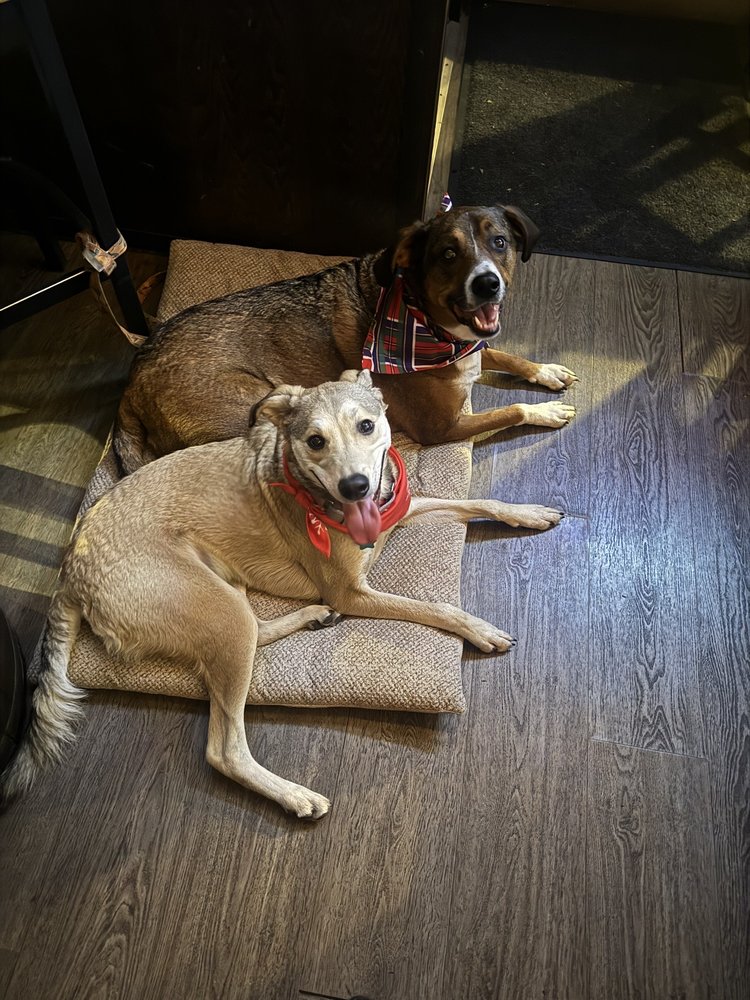 Social spots from Barrelman Tavern