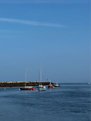 Sesuit Harbor Cafe by null