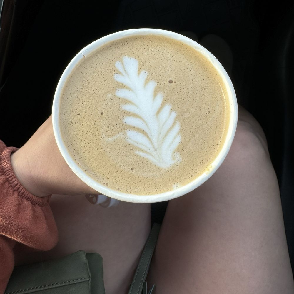 Qualla Java Cafe - Plain Hot Latte - Cafes Near Me - Cherokee, North Carolina Qualla Java Cafe - Plain Hot Latte - Cafes Near Me - Cherokee, North Carolina