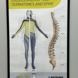 Ascend Pain And Wellness