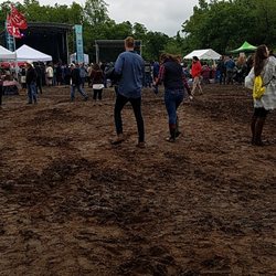 Kingman Island Bluegrass & Folk Festival