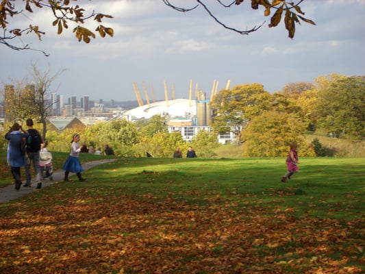 Greenwich Park by null