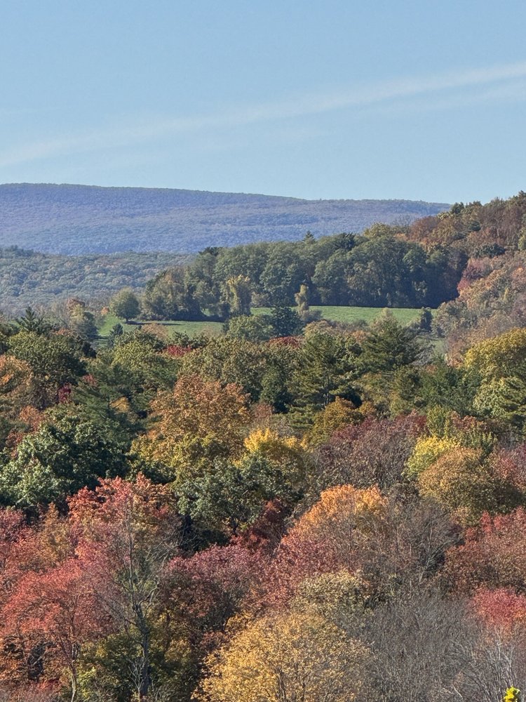 Backyard Adventure UTV Tour