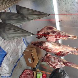 Get Your Meat