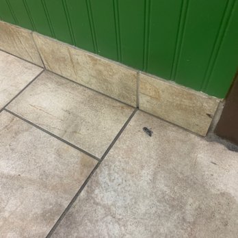 PrimoHoagies - Bugs on the floor. - Sandwiches Near Me - West Chester, Pennsylvania PrimoHoagies - Bugs on the floor. - Sandwiches Near Me - West Chester, Pennsylvania