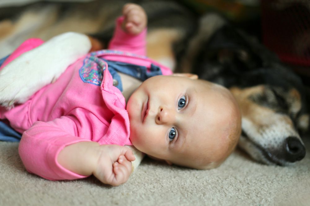 NYC LOCAL CARPET Updated September 2024 79 Photos & 54 Reviews