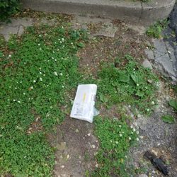 The Express-Times - Littering our neighborhoods again!