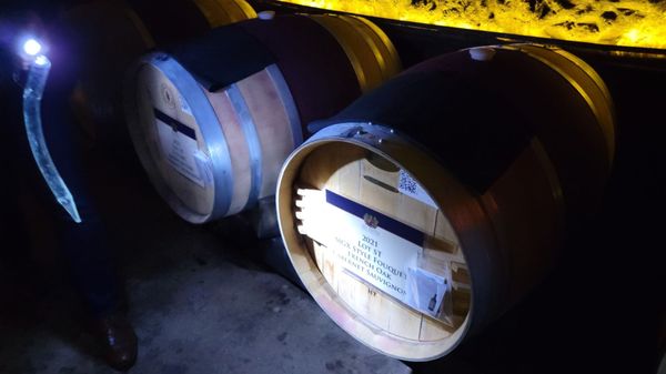 Del Dotto Historic Winery & Caves by null
