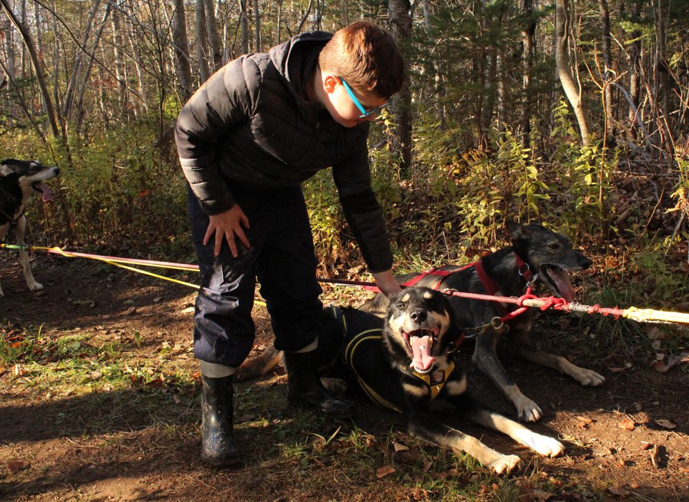 Skywolf K9 Adventures