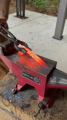 Charleston Adventure Forest by null