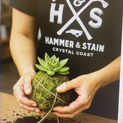 Hammer And Stain Crystal Coast - Kokedama, how that for a unique workshop?