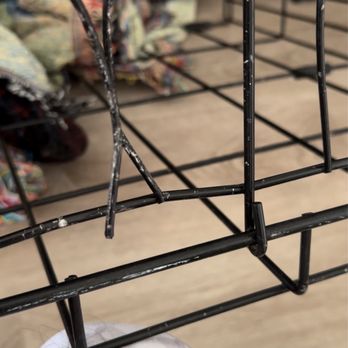 Dogs Without Borders - Dog chewed through the crate - Community Service/Non-Profit Near Me