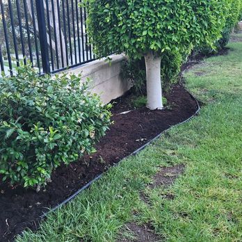 Jorge Duarte Landscaping - Added lining around the yard for us. - Landscaping Near Me