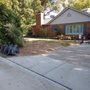 Photo of Kingdom Tree Trimming and Removal
