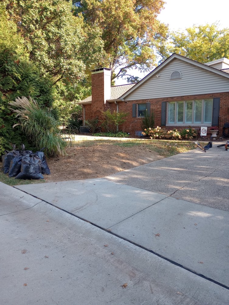 KINGDOM TREE TRIMMING AND REMOVAL Updated September 2024 23 Photos