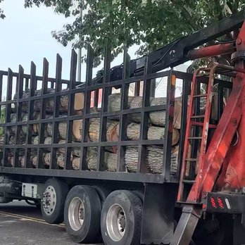 All Island Tree Service - Tree Services Near Me - Freeport, New York