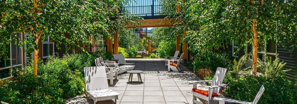 AMLI Wallingford by null