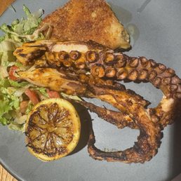 Octopus