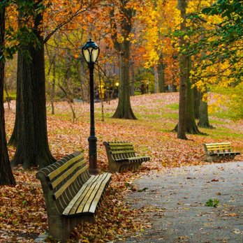 Central Park Conservancy - Parks Near Me - New York, New York Central Park Conservancy - Parks Near Me - New York, New York