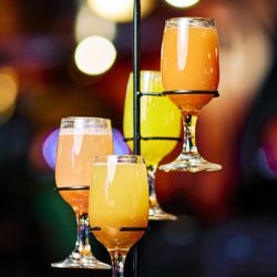 Bonito Michoacan - Mimosa flight