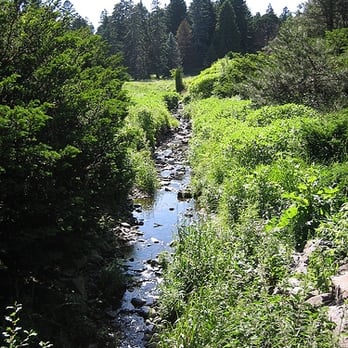 Arnold Arboretum - off the beaten path - Parks Near Me - Boston, Massachusetts