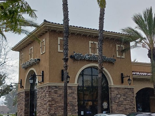 The Coffee Bean & Tea Leaf by null