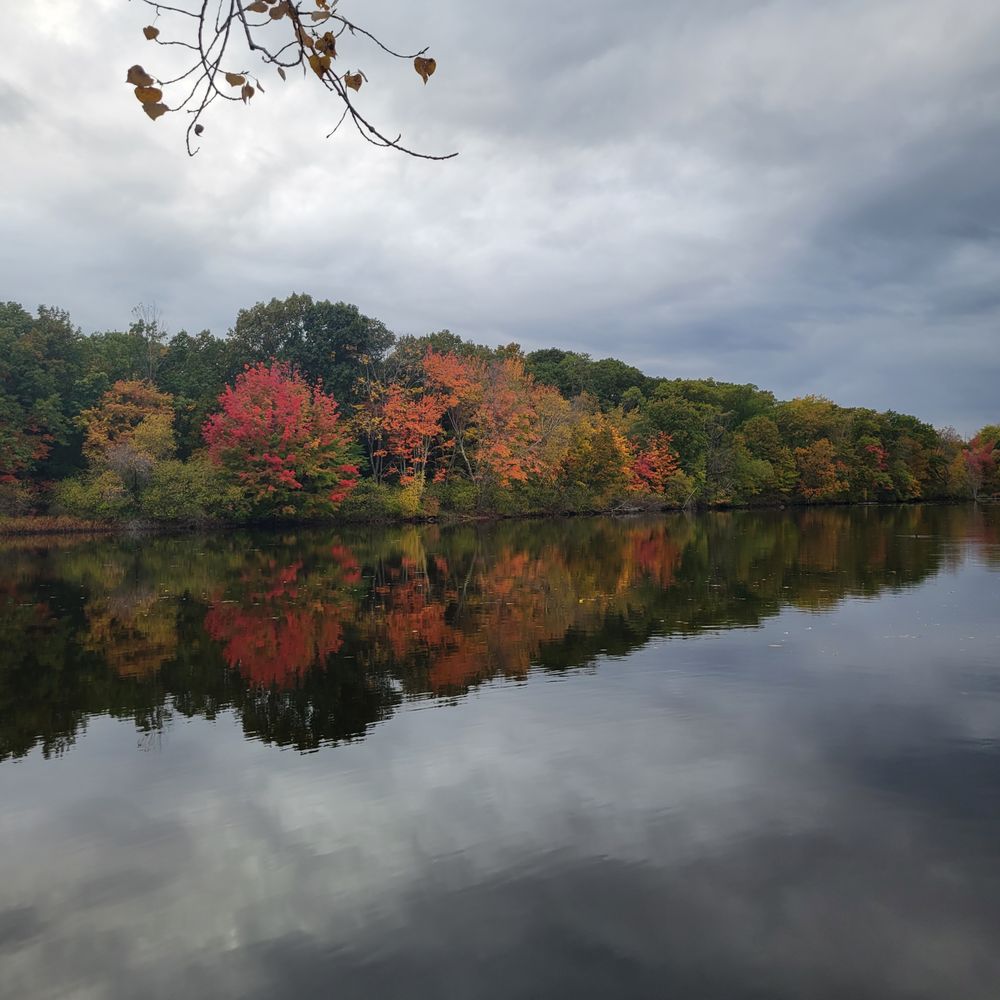 Horn Pond - Lakes Near Me - Woburn, Massachusetts Horn Pond - Lakes Near Me - Woburn, Massachusetts